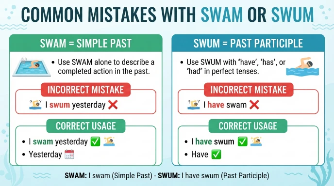 Common Mistakes with Swam or Swum